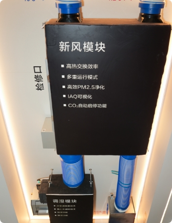 Ảnh chụp tại hiện trường