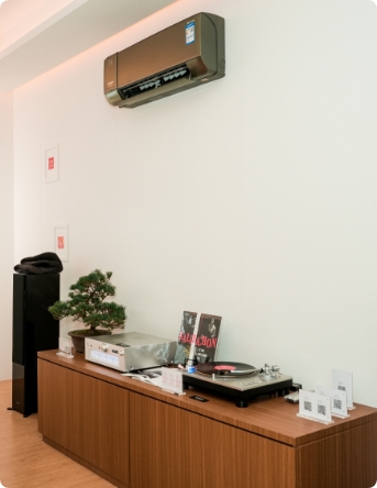 Ảnh chụp tại hiện trường