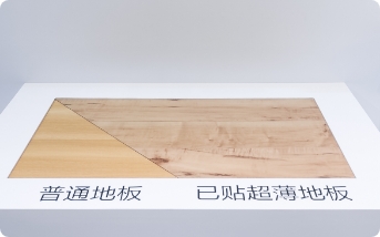 Ảnh chụp tại hiện trường